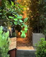 mokuhon – 銀座にある植物と器のお店です。店内は、グリーン一色